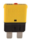 protection (current .: 20A) automatic flat