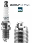 BorgWarner (BERU) Z100