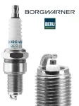 BorgWarner (BERU) Z11