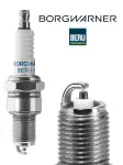BorgWarner (BERU) Z1