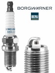 BorgWarner (BERU) Z227