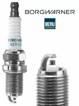 BorgWarner (BERU) Z249