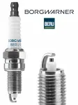 BorgWarner (BERU) Z293