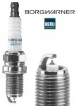 BorgWarner (BERU) Z382