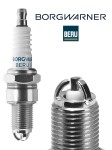 BorgWarner (BERU) Z508