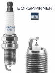 BorgWarner (BERU) Z550