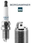 BorgWarner (BERU) Z63