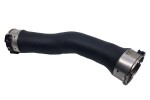 BUGIAD Charge Air Hose 81903