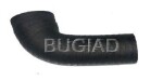 BUGIAD 84612