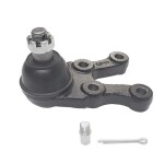 CTR CB0183