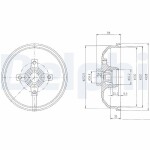 DELPHI Brake Drum BF111
