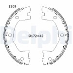 DELPHI Brake Shoe Set,  parking brake LS2202