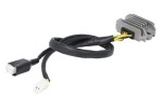 DZE DZE02489 / voltage regulator (12v, 20a) fits: honda NX 250 1988-1993