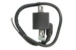 DZE DZE04041 / ignition coil