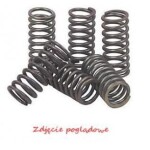 EBC BRAKES CSK166 / Motorcycle clutch springs. Honda CBF 125 (09-14)/