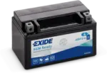 EXIDE AGM12-6