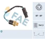 FAE 36610