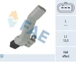 FAE 79541