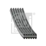 FEBI BILSTEIN V-ribbed Belt 34459