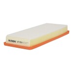 FILTRON Air Filter AP 059/1