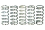 FERODO FSS0507 / clutch spring set fits: cagiva mito 50 1998-2000