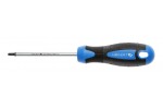 screwdriver torx t25 100mm