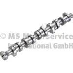 KOLBENSCHMIDT Camshaft 50006110