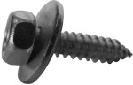 screw with washer