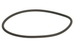 LEMA 124635 / o-ring fits: daf