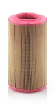 MANN-FILTER Air Filter C 17 237