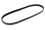 MAPCO V-ribbed Belt 240750