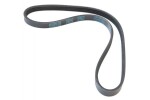 MAPCO V-ribbed Belt 240800