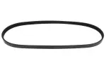 MAPCO V-ribbed Belt 240810