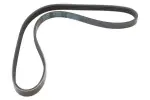 MAPCO V-ribbed Belt 240860