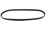 MAPCO V-ribbed Belt 240905