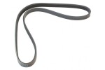 MAPCO V-ribbed Belt 240920