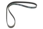 MAPCO V-ribbed Belt 240925