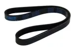 MAPCO V-ribbed Belt 250805