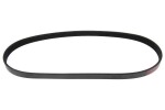 MAPCO V-ribbed Belt 250875