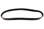 MAPCO V-ribbed Belt 260894