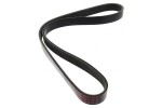MAPCO V-ribbed Belt 261019E