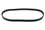 MAPCO Timing Belt 43629