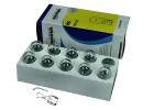 light bulb, indicator light 12v 21w, w21w, w3x16d