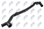 NTY CPP-WW-061