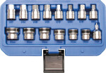 tool BGS 15-piece magnetic sockets for oil Drain screws