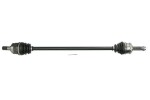 PASCAL G20055PC