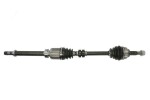 PASCAL Drive Shaft G21025PC