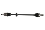 PASCAL Drive Shaft G24016PC