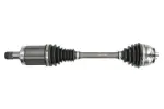 PASCAL G2B019PC