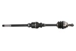 PASCAL Drive Shaft G2C191PC